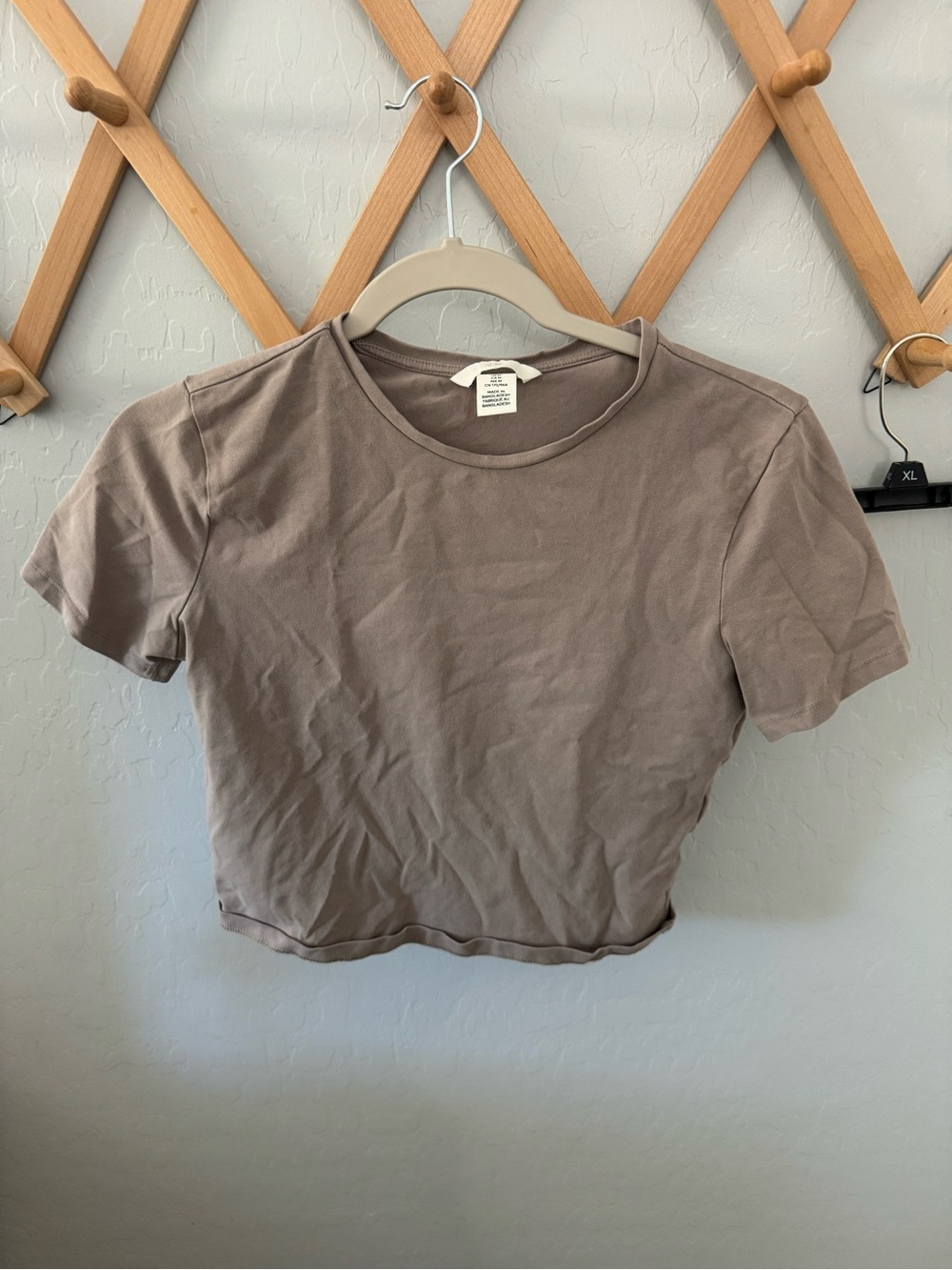 H&M Taupe Cropped Crewneck Tee